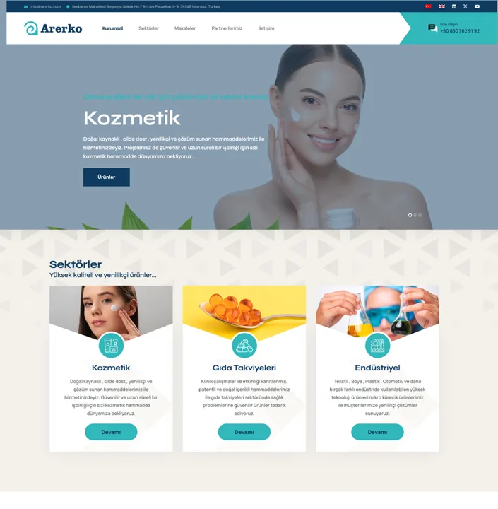 Arerko web sitesi tasarımı